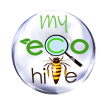 My Eco Hive | Social Network & International Marketplace