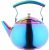 Onlycooker Rainbow Tea Pot with Infuser for Loose Leaf 2 Liter Tea Kettle Stainless Steel Colorful Coffee Pot 8 Cup Stovetop Induction Stove Top Teapot Strainer for Hot Water Multicolor 2.1 QT: Teapots