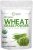 Sustainably US Grown, Organic Wheat Grass Powder, 10 Ounce (94 Serving), Rich in Immune Vitamins, Fibers, Fatty Acids and Minerals, Support Immune System and Digestion Function, Vegan Friendly : Health & Household