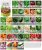 Survival Vegetable Seeds Garden Kit Over 16,000 Seeds Non-GMO and Heirloom, Great for Emergency Bugout Survival Gear 35 Varieties Seeds for Planting Vegetables 35 Free Plant Markers Gardeners Basics  Patio, Lawn & Garden