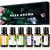 Essential Oils by PURE AROMA 100% Pure Therapeutic Grade Oils kit- Top 6 Aromatherapy Oils Gift Set-6 Pack, 10ML(Eucalyptus, Lavender, Lemon Grass, Orange, Peppermint, Tea Tree) : Health & Household